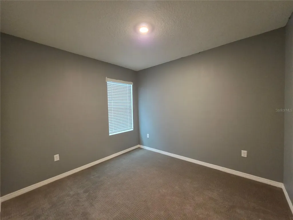17007 Blister Wing Drive Wimauma FL 33598