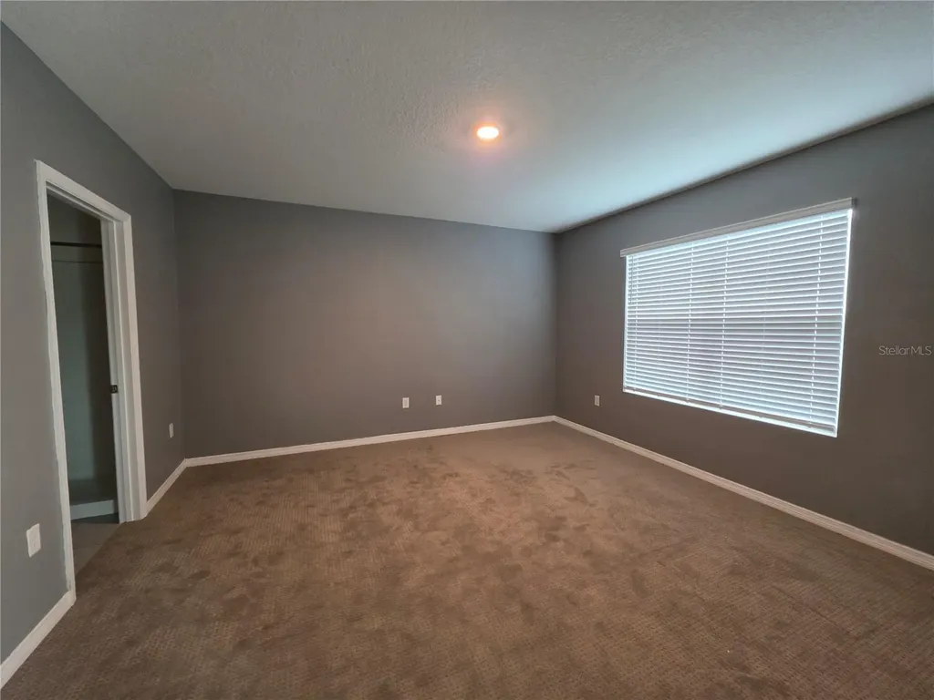 17007 Blister Wing Drive Wimauma FL 33598