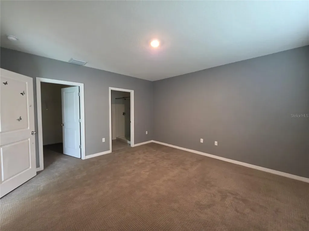 17007 Blister Wing Drive Wimauma FL 33598
