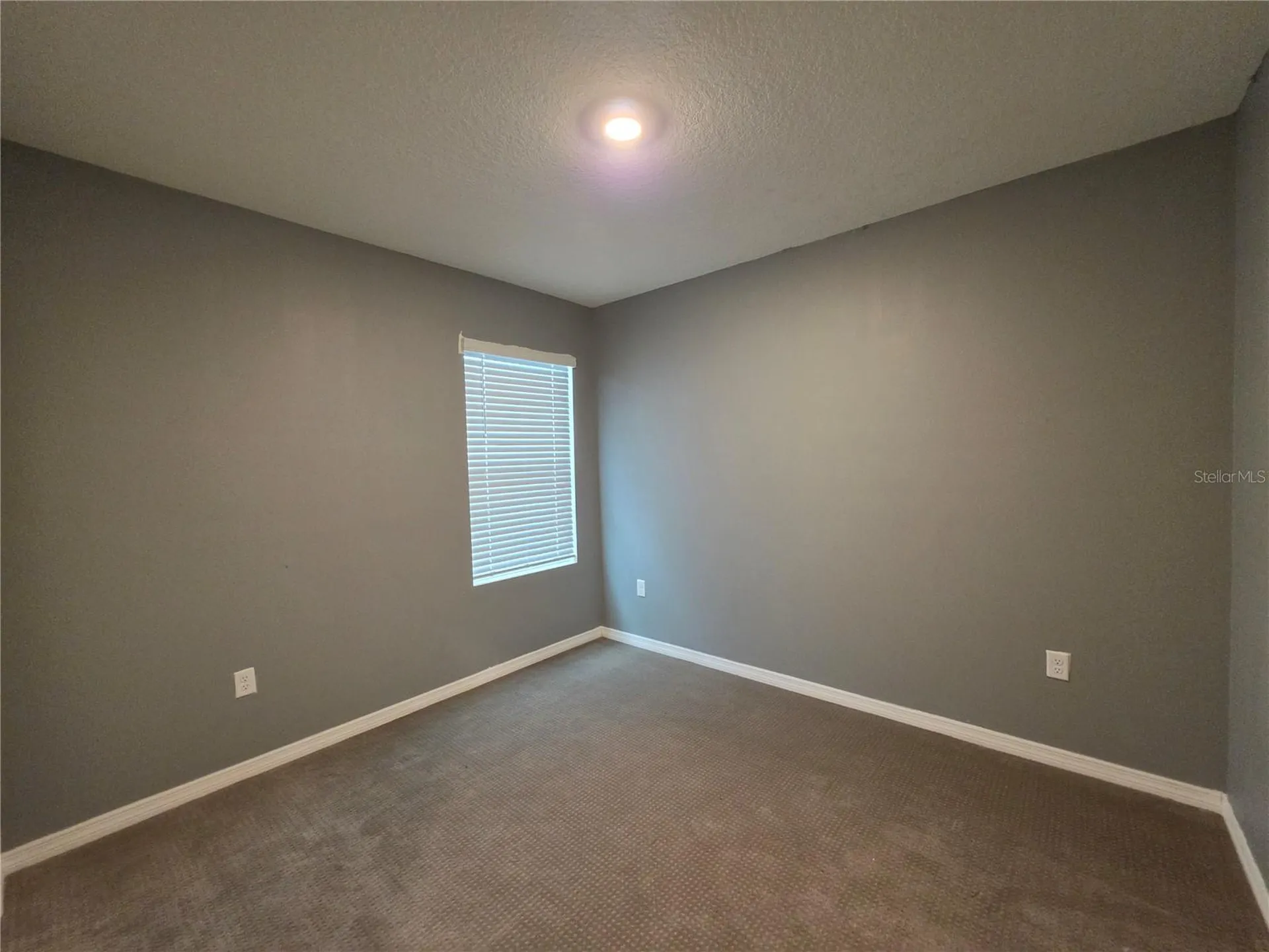 17007 Blister Wing Drive Wimauma FL 33598