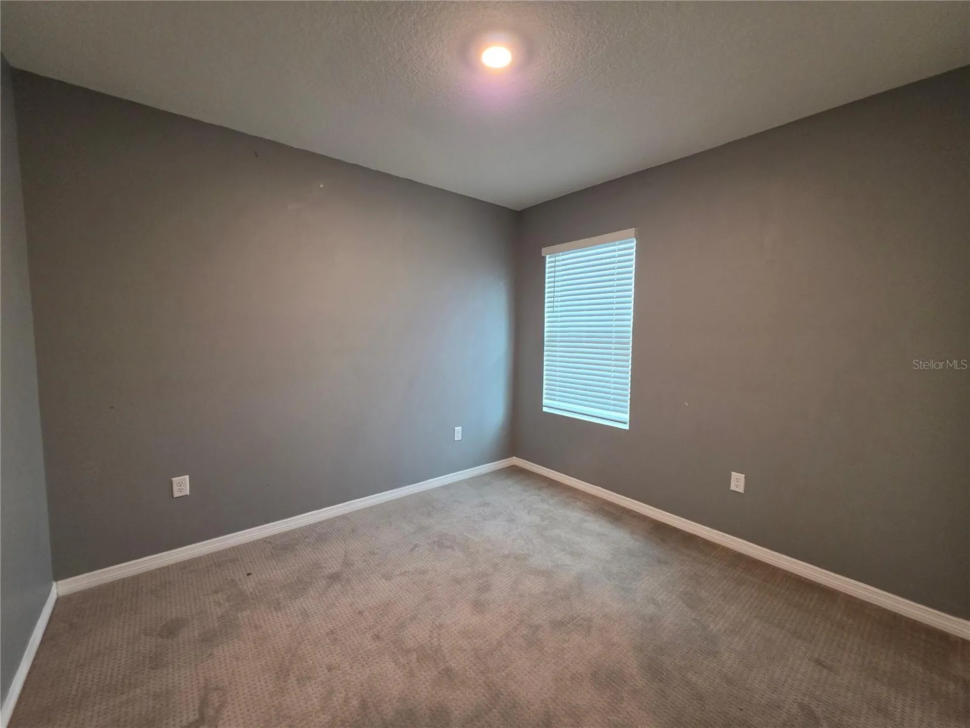 17007 Blister Wing Drive Wimauma FL 33598