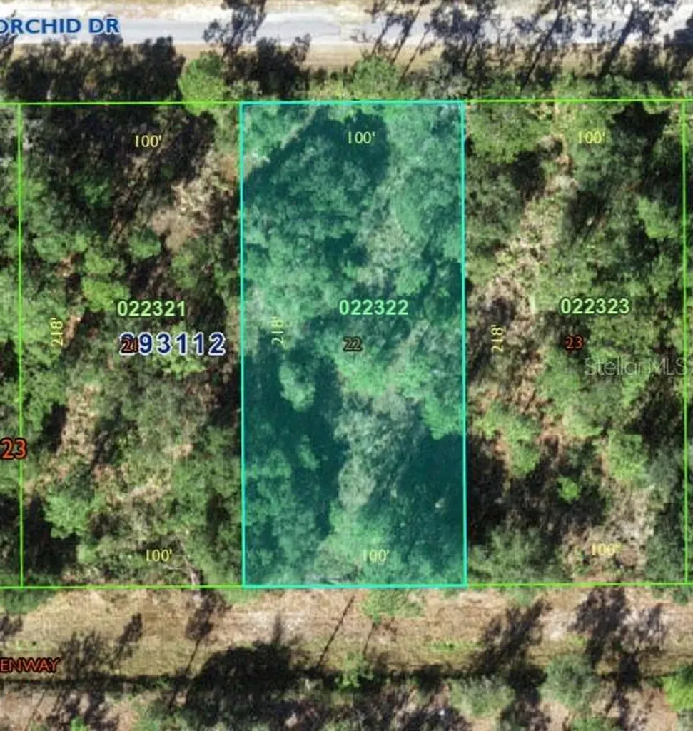 905 Orchid Drive Indian Lake Estates FL 33855