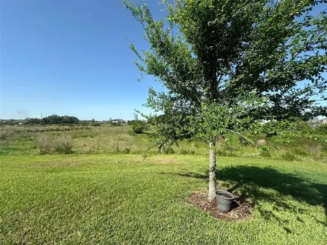 172 Primrose Drive Davenport FL 33837
