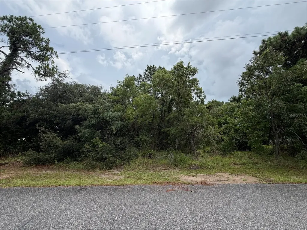 Corydon Avenue Spring Hill FL 34609