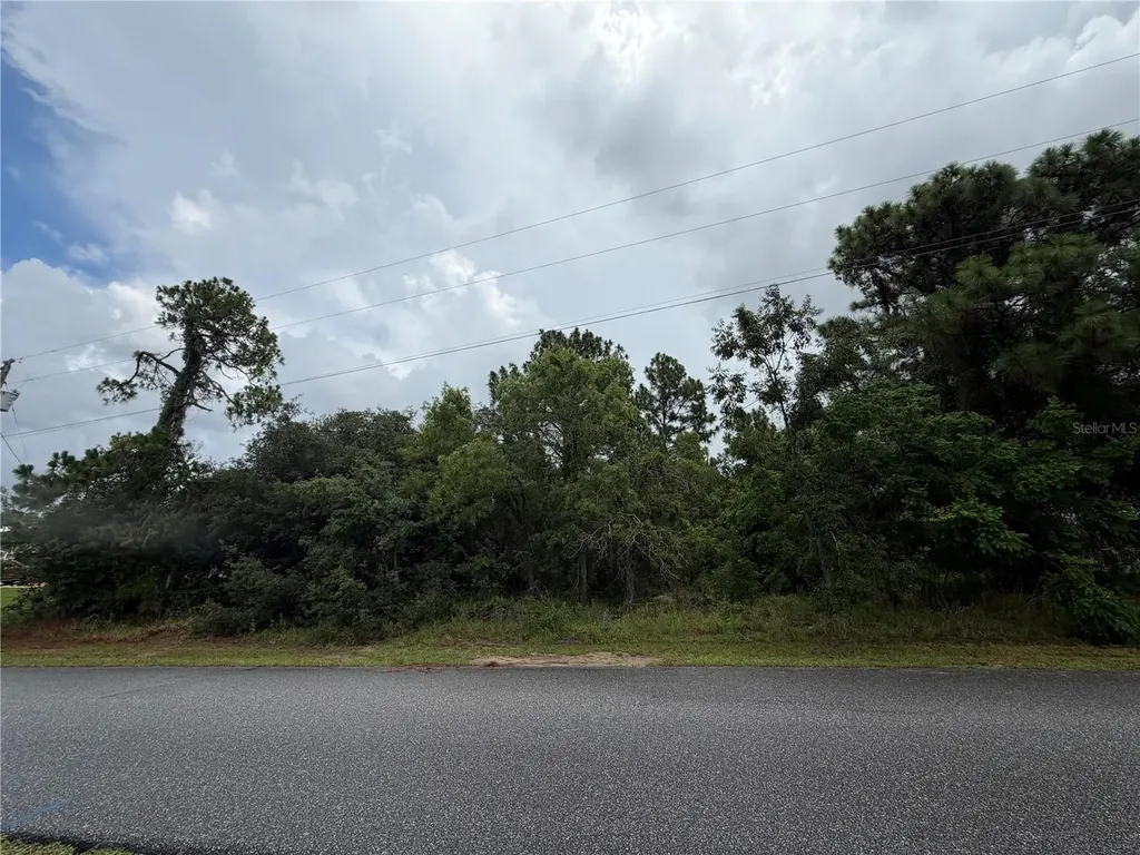 Corydon Avenue Spring Hill FL 34609