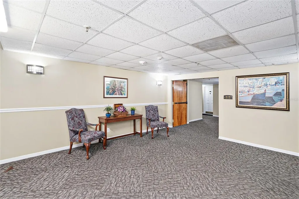 3211 W Swann Avenue Tampa FL 33609