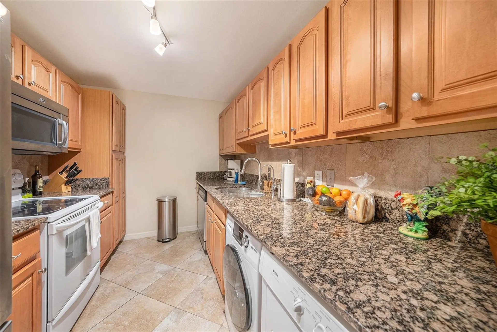 3211 W Swann Avenue Tampa FL 33609
