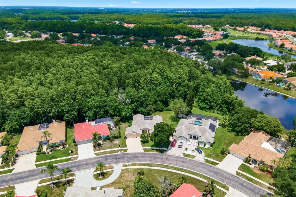 3187 Sterling Street Tarpon Springs FL 34688