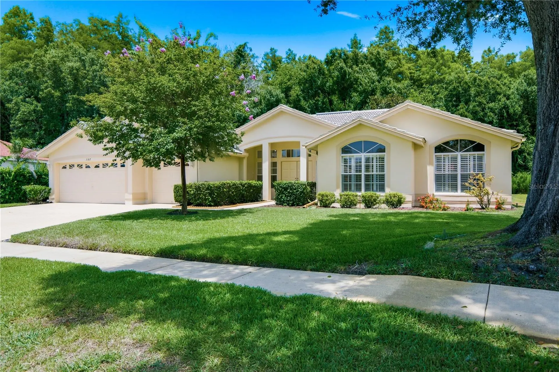 3187 Sterling Street Tarpon Springs FL 34688