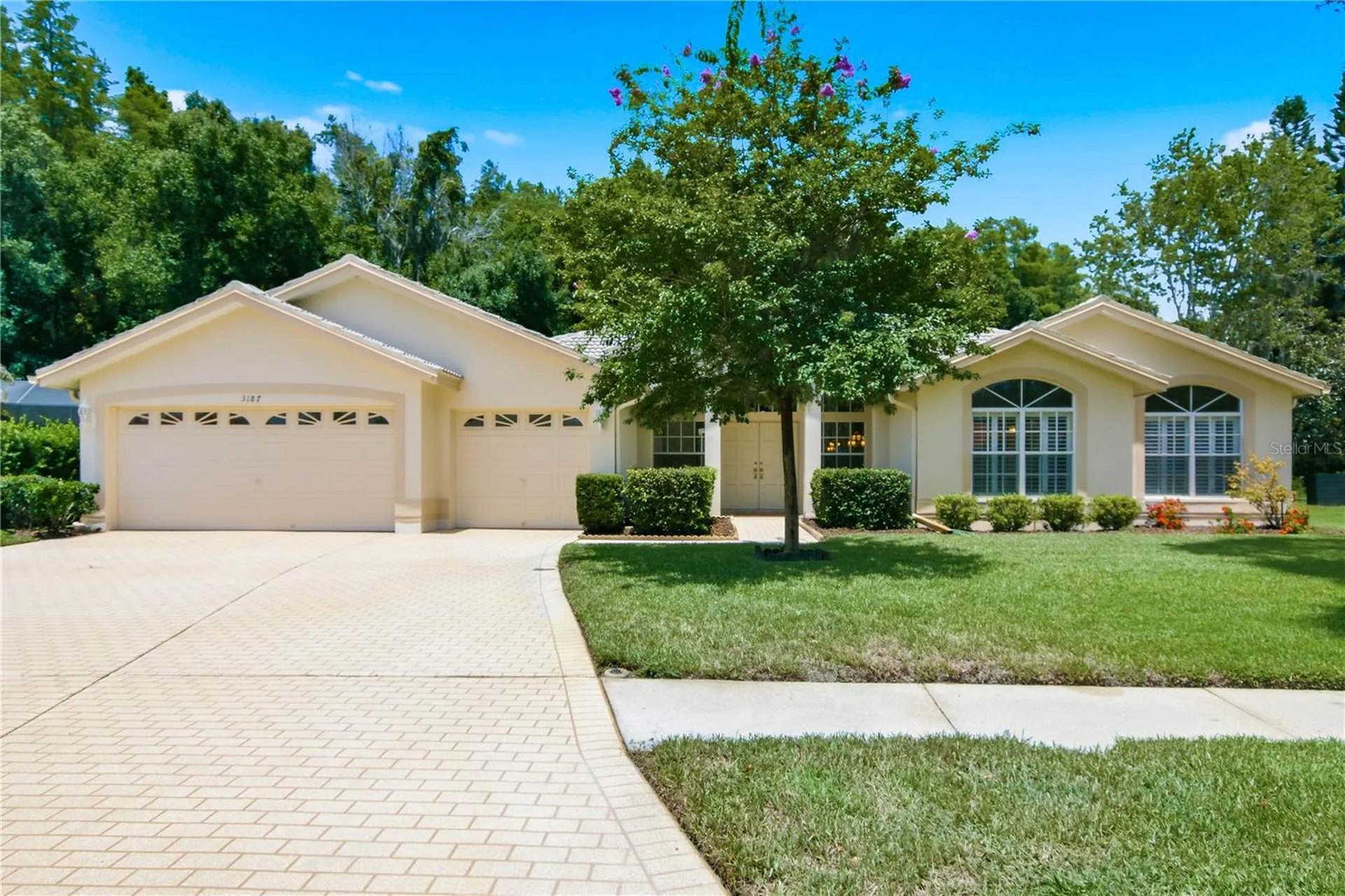 3187 Sterling Street Tarpon Springs FL 34688