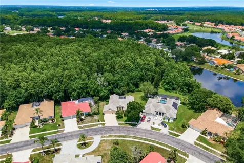 3187 Sterling Street Tarpon Springs FL 34688