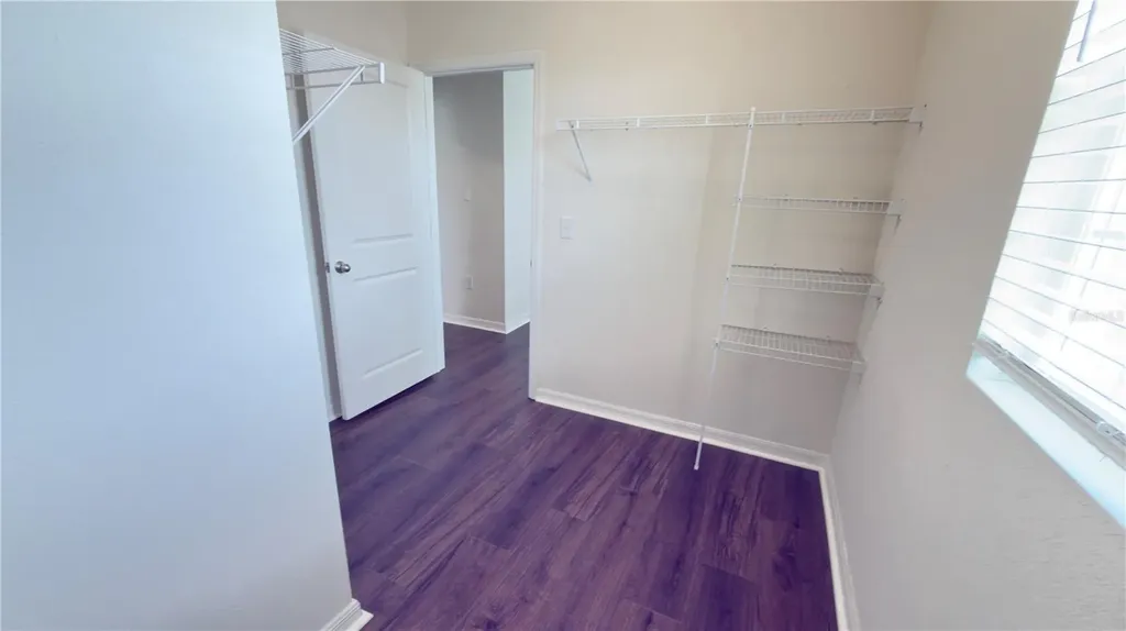 32724 Ansley Bloom Lane Wesley Chapel FL 33543