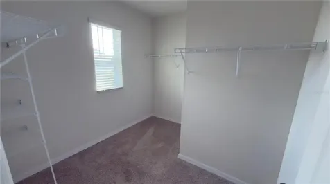 32724 Ansley Bloom Lane Wesley Chapel FL 33543