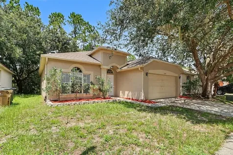 3709 Cinnamon Fern Loop Clermont FL 34714