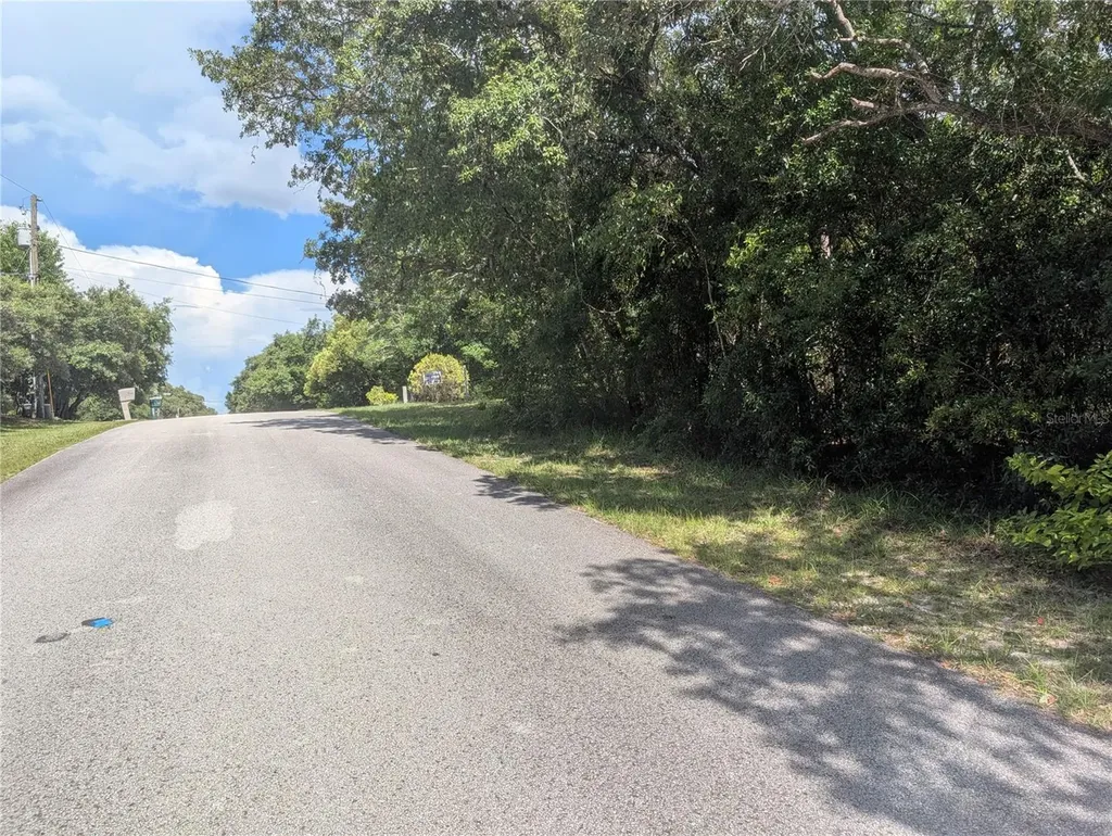 1180 E Cleveland Street Hernando FL 34442