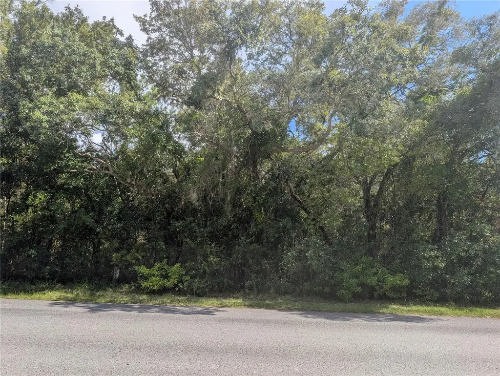 1180 E Cleveland Street Hernando FL 34442