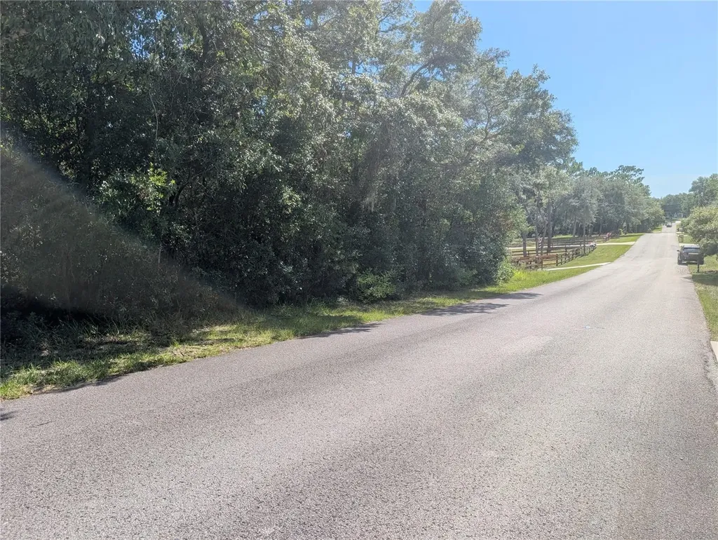 1180 E Cleveland Street Hernando FL 34442