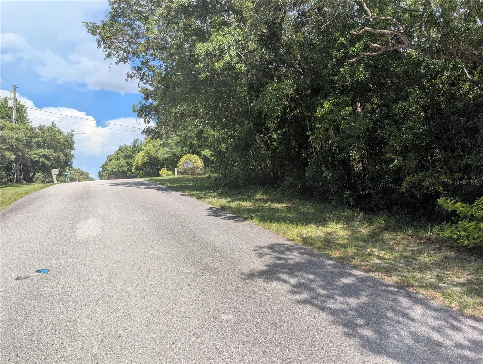 1180 E Cleveland Street Hernando FL 34442