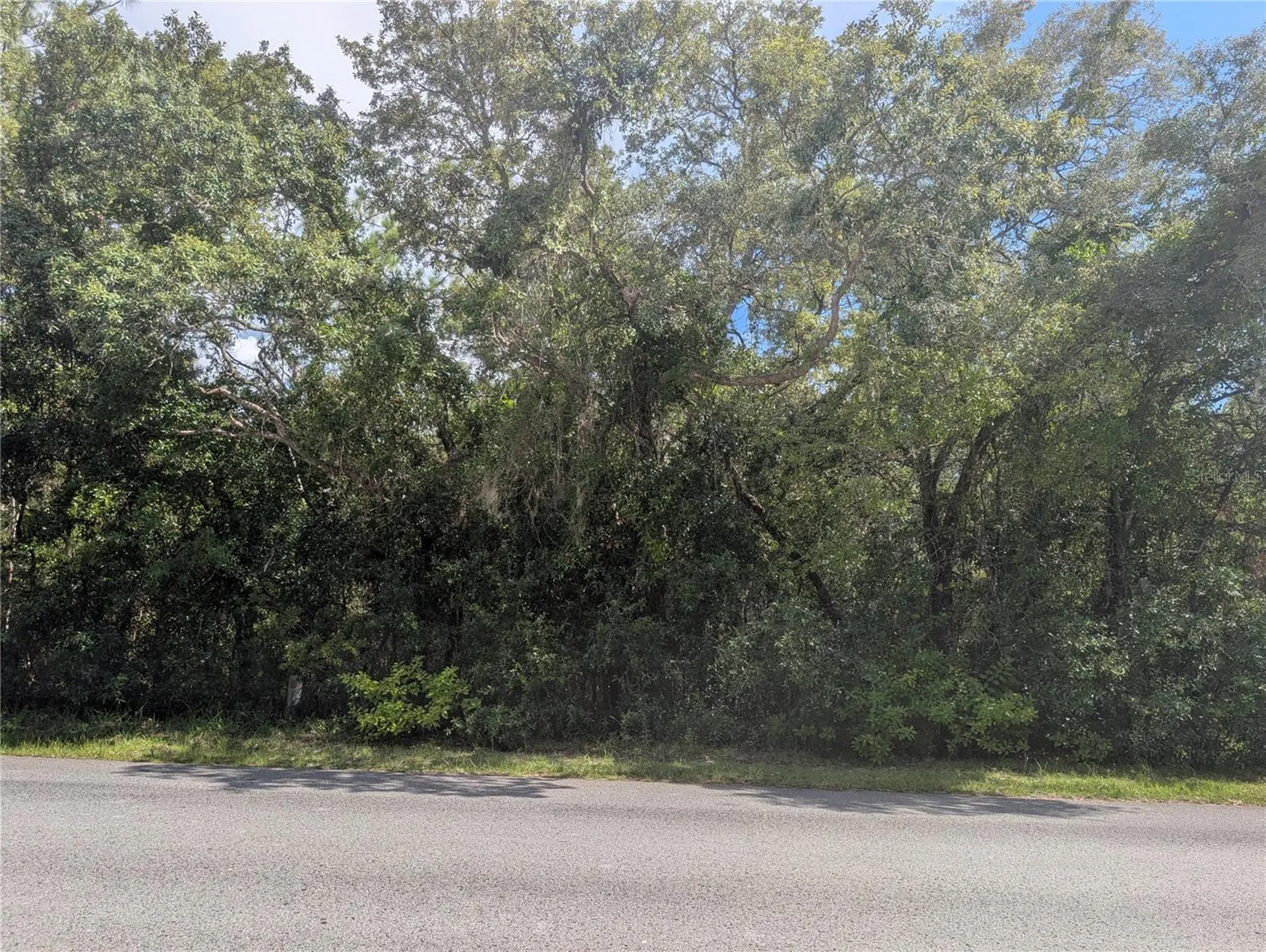 1180 E Cleveland Street Hernando FL 34442