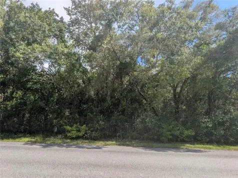 1180 E Cleveland Street Hernando FL 34442