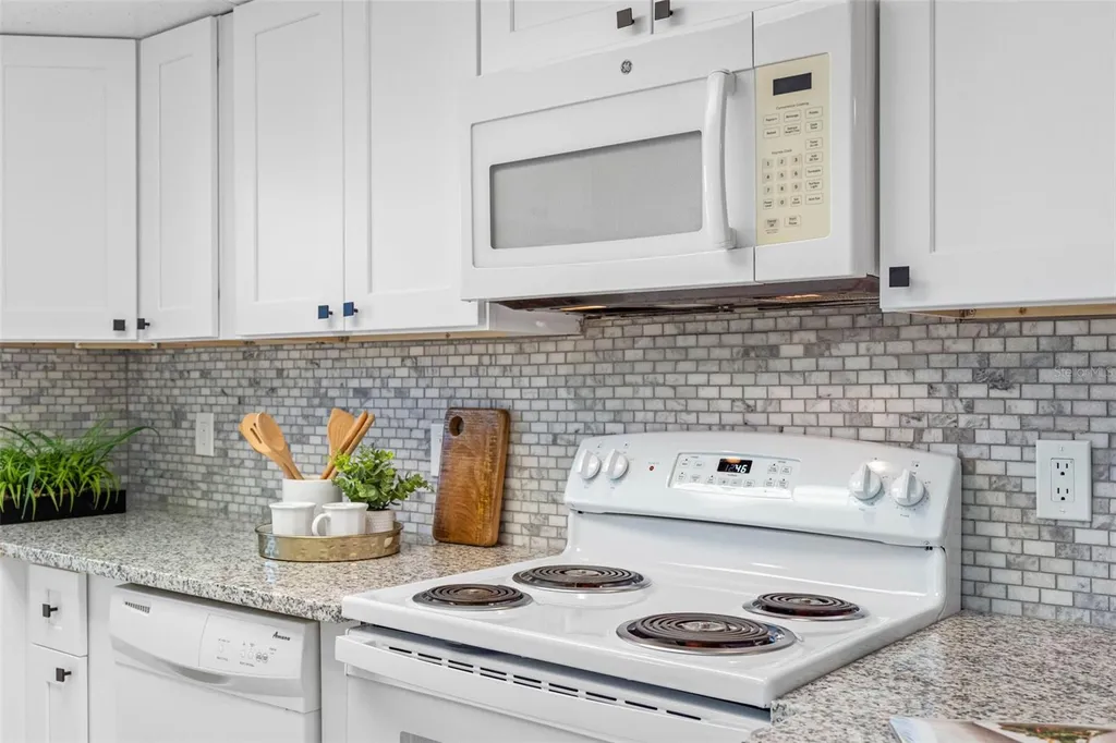 72 Lake Shore Drive Palm Harbor FL 34684