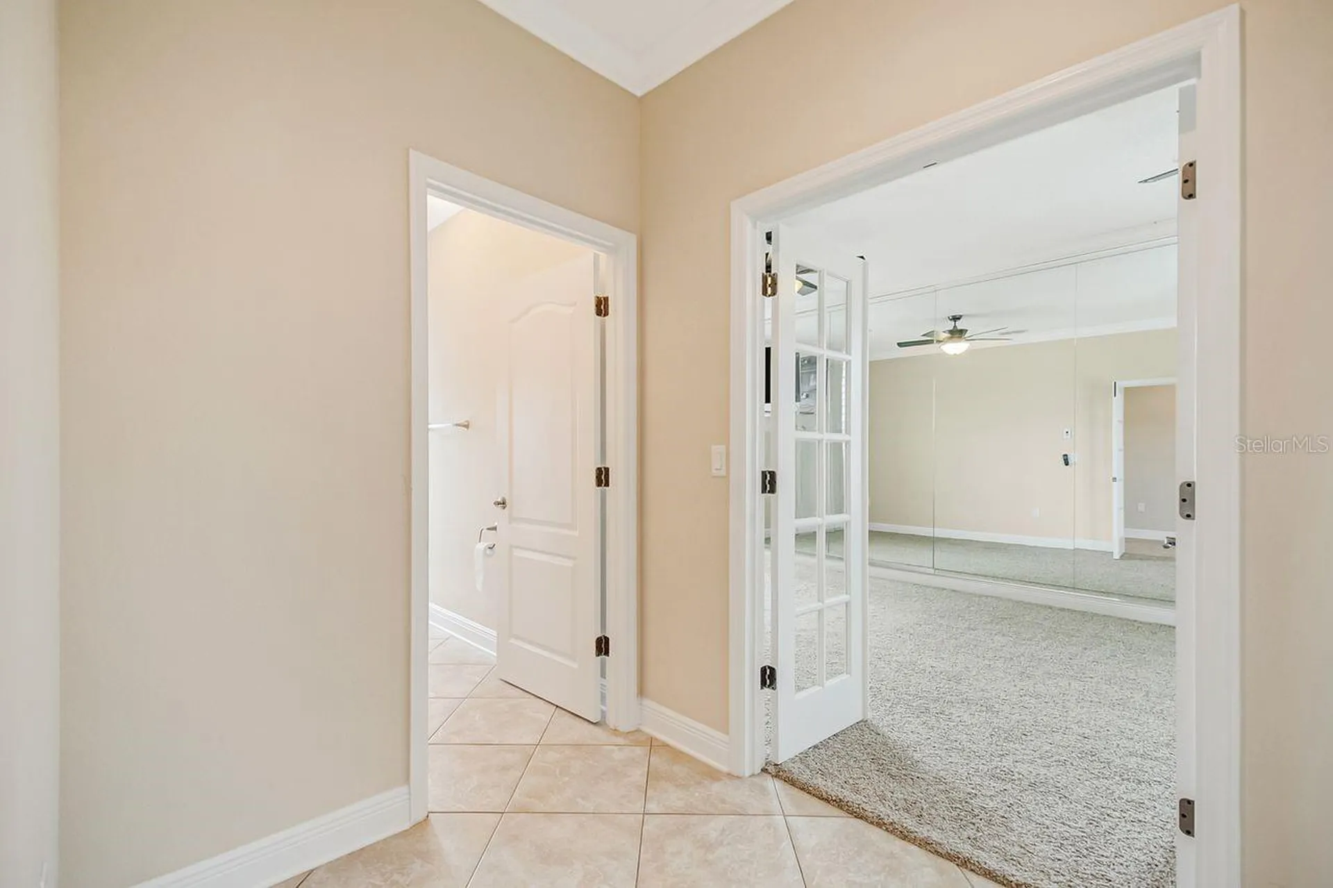 2629 Tree Meadow Loop Apopka FL 32712
