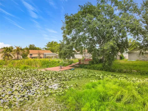 3229 Covina Street New Port Richey FL 34655