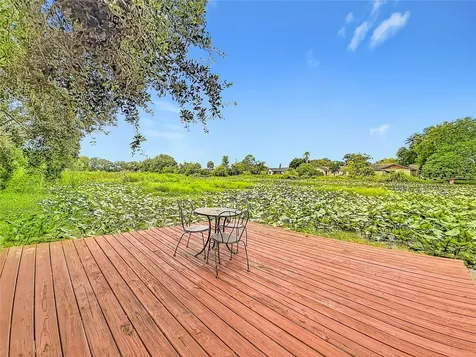 3229 Covina Street New Port Richey FL 34655