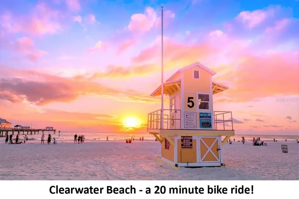 1142 Sunset Point Road Clearwater FL 33755