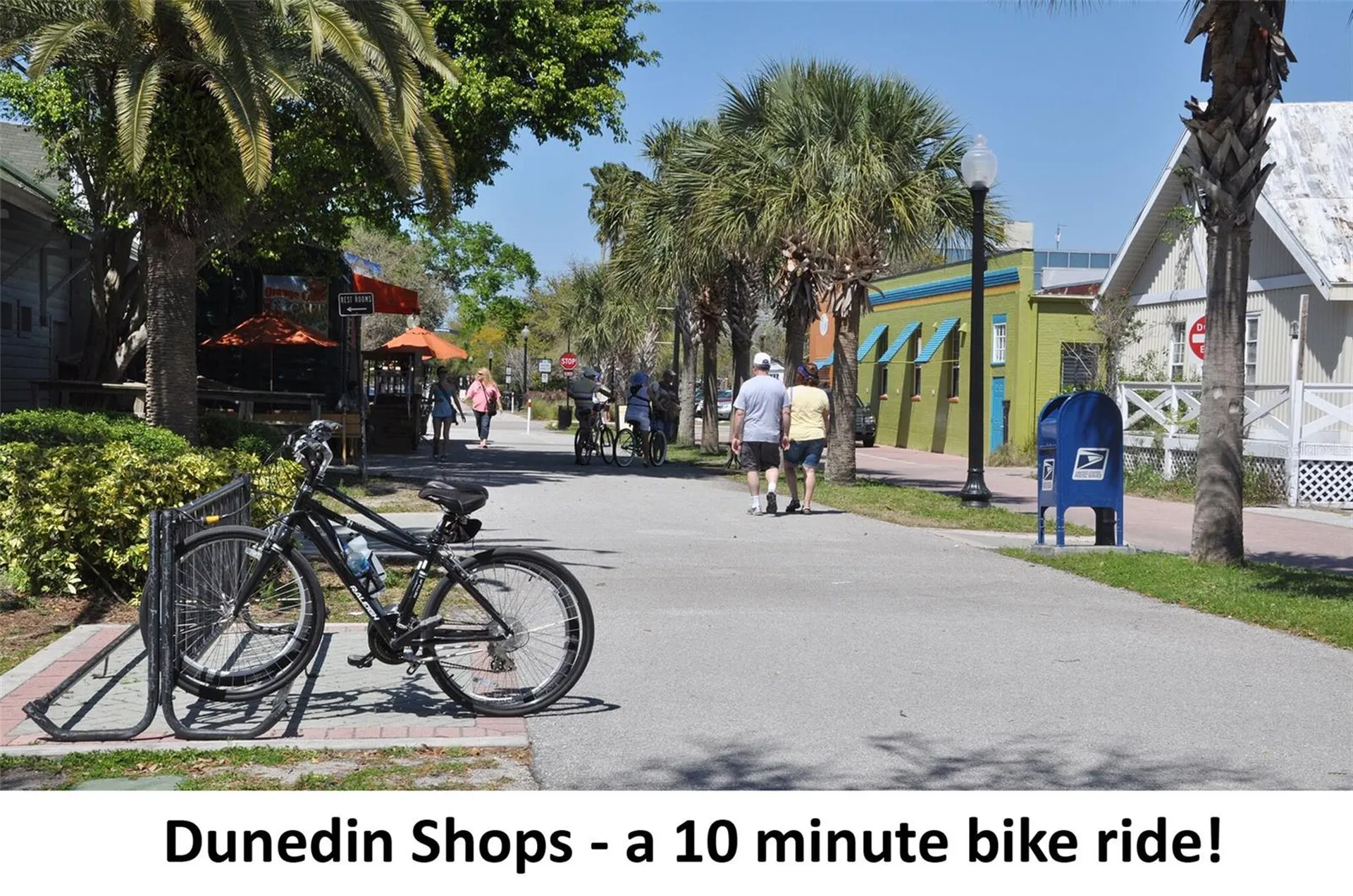 1142 Sunset Point Road Clearwater FL 33755