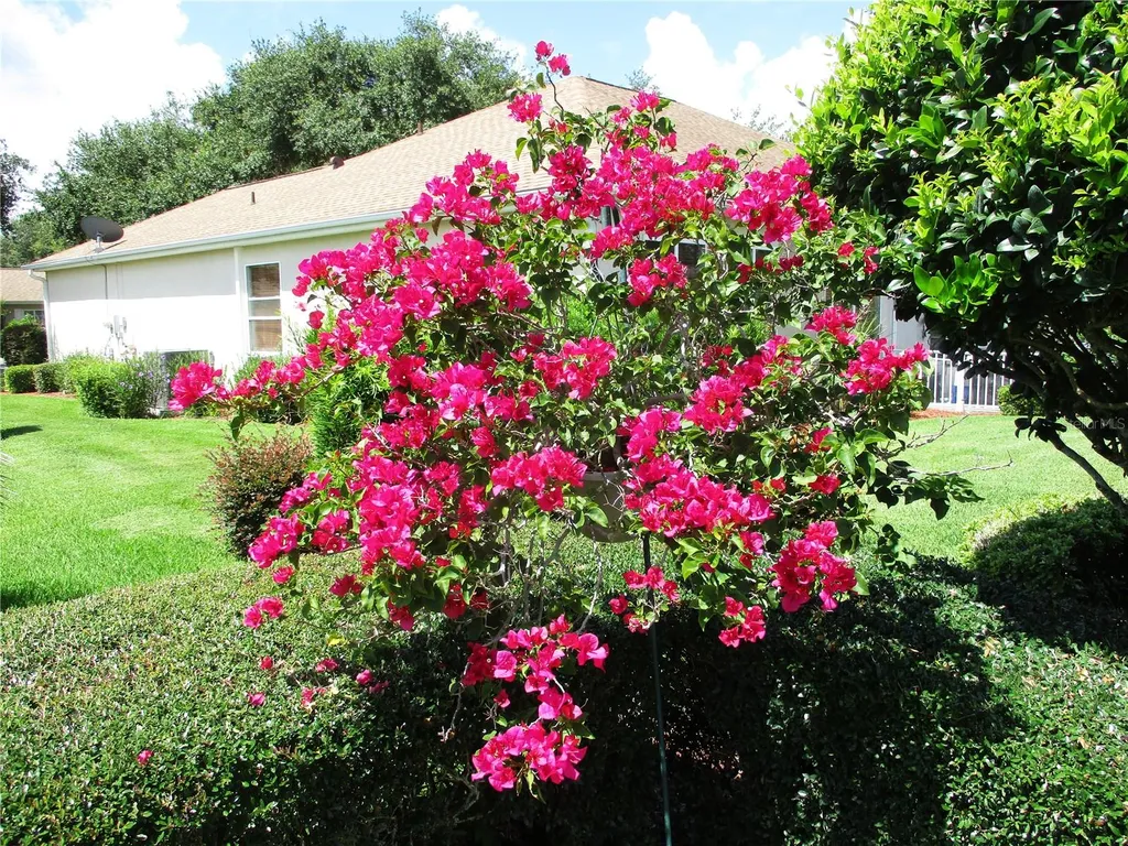 11588 SW 139th Place Dunnellon FL 34432