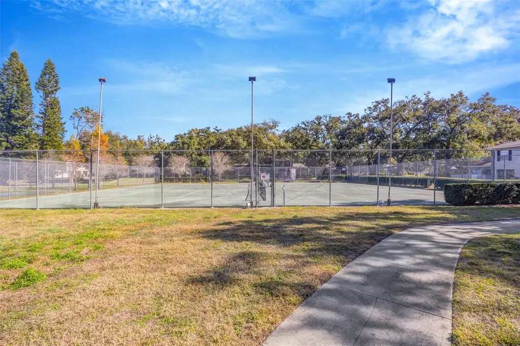 6226 Goldenmoss Way Tampa FL 33617