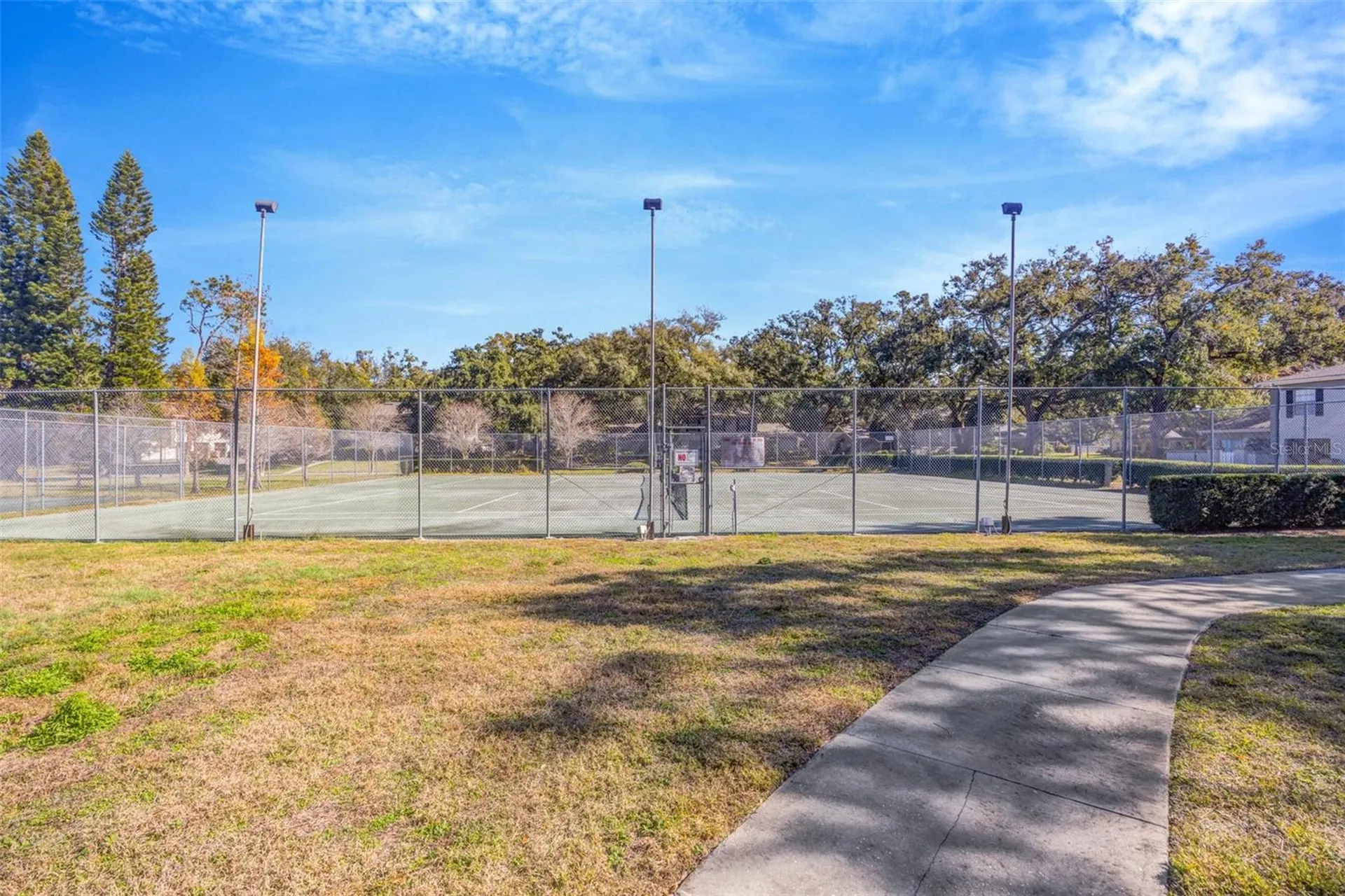 6226 Goldenmoss Way Tampa FL 33617