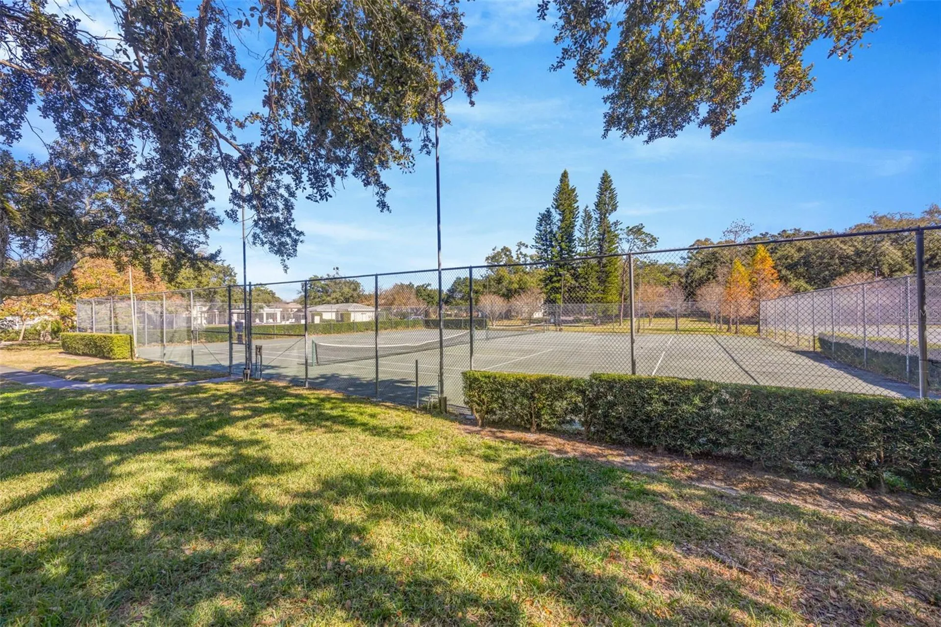 6226 Goldenmoss Way Tampa FL 33617