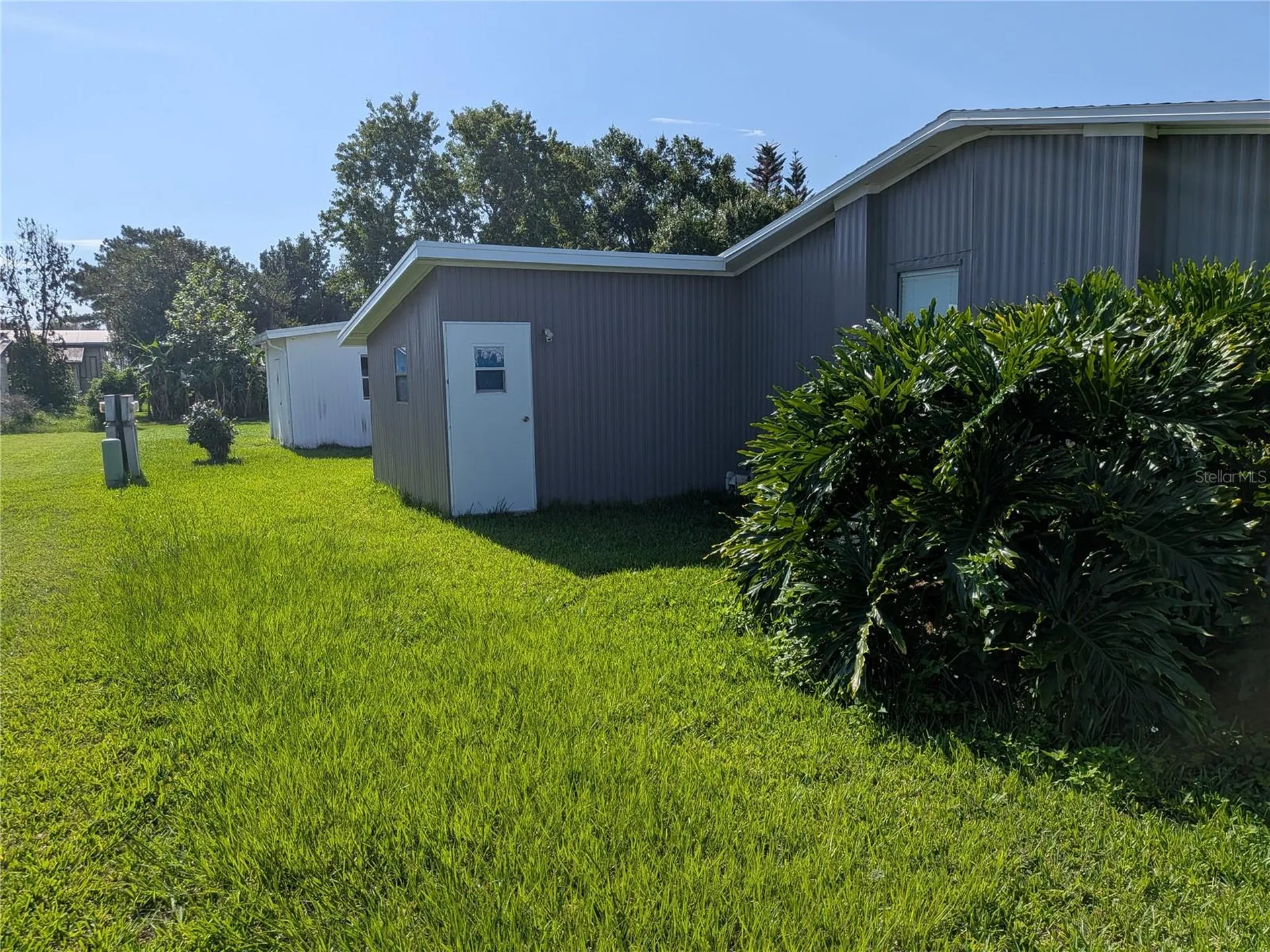 36037 Coleus Zephyrhills FL 33541