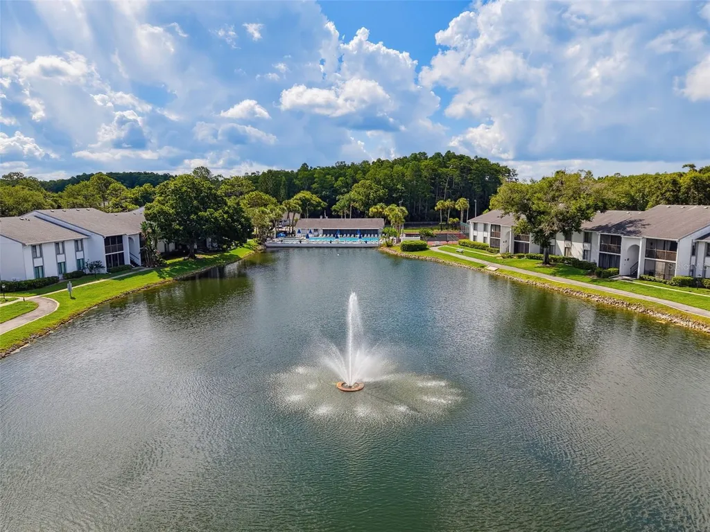 1261 Pine Ridge Circle W Tarpon Springs FL 34688