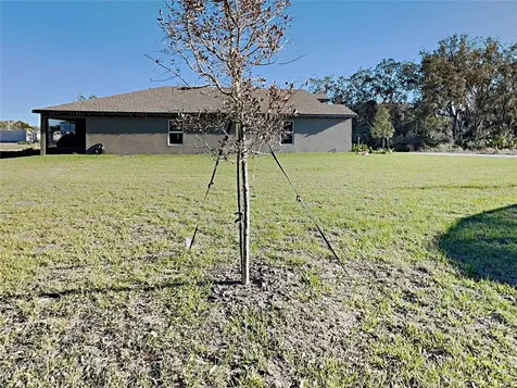 424 Ohio Lane Kissimmee FL 34759
