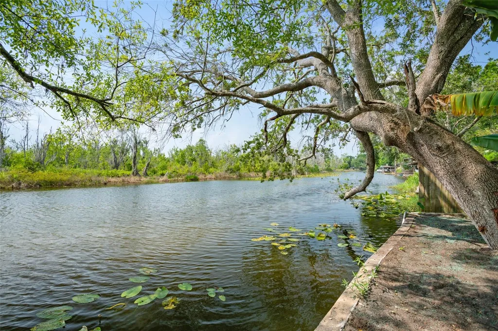 28046 Lois Drive Tavares FL 32778