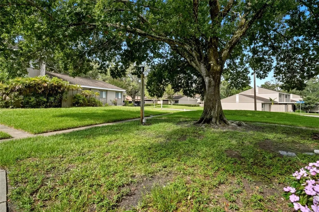 8003 Jasmine Drive Tampa FL 33637