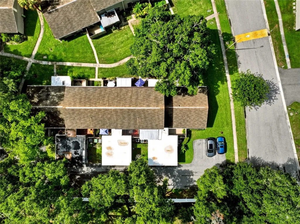 8003 Jasmine Drive Tampa FL 33637