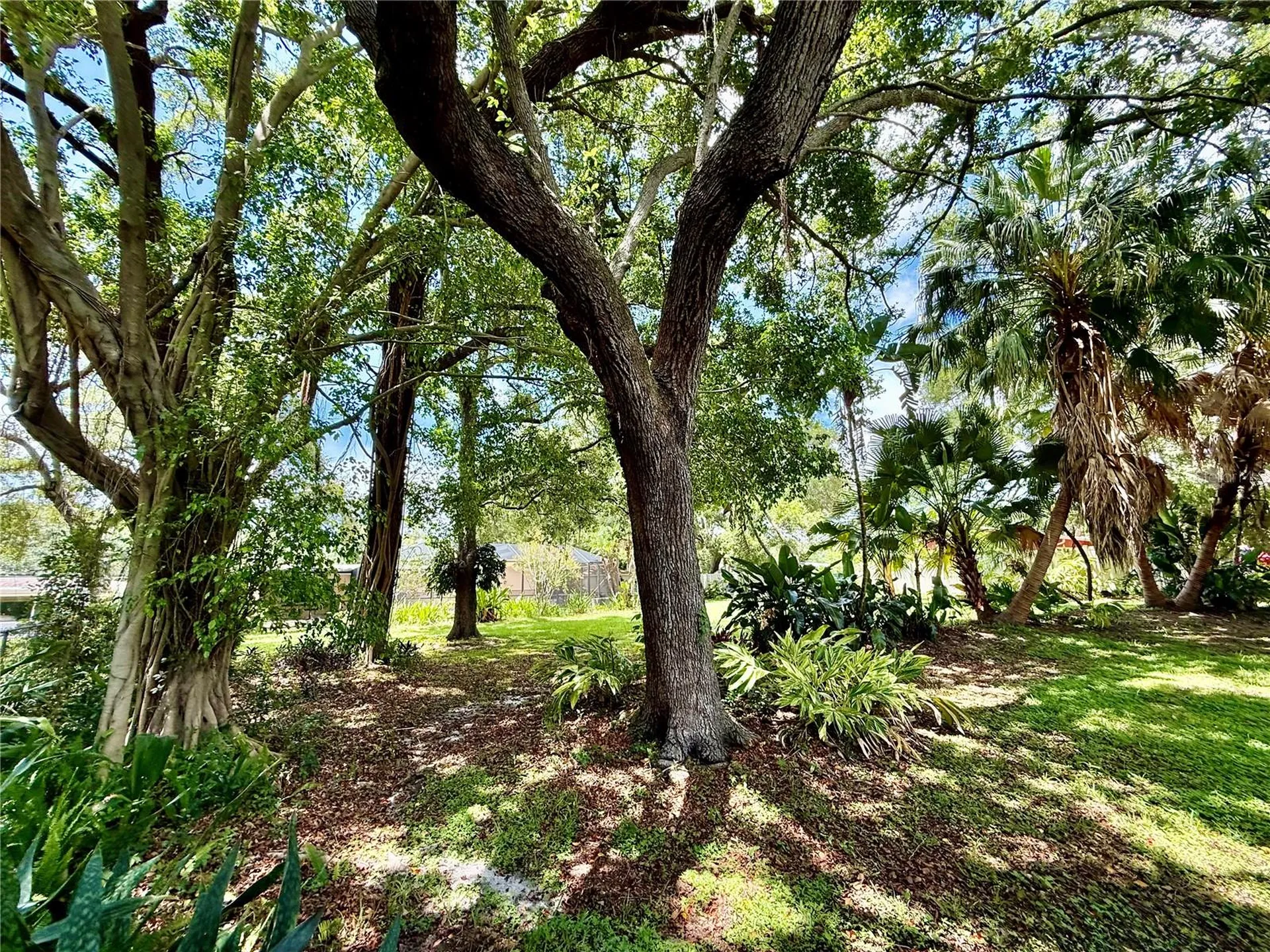 918 Bay Breeze Terrace Largo FL 33770