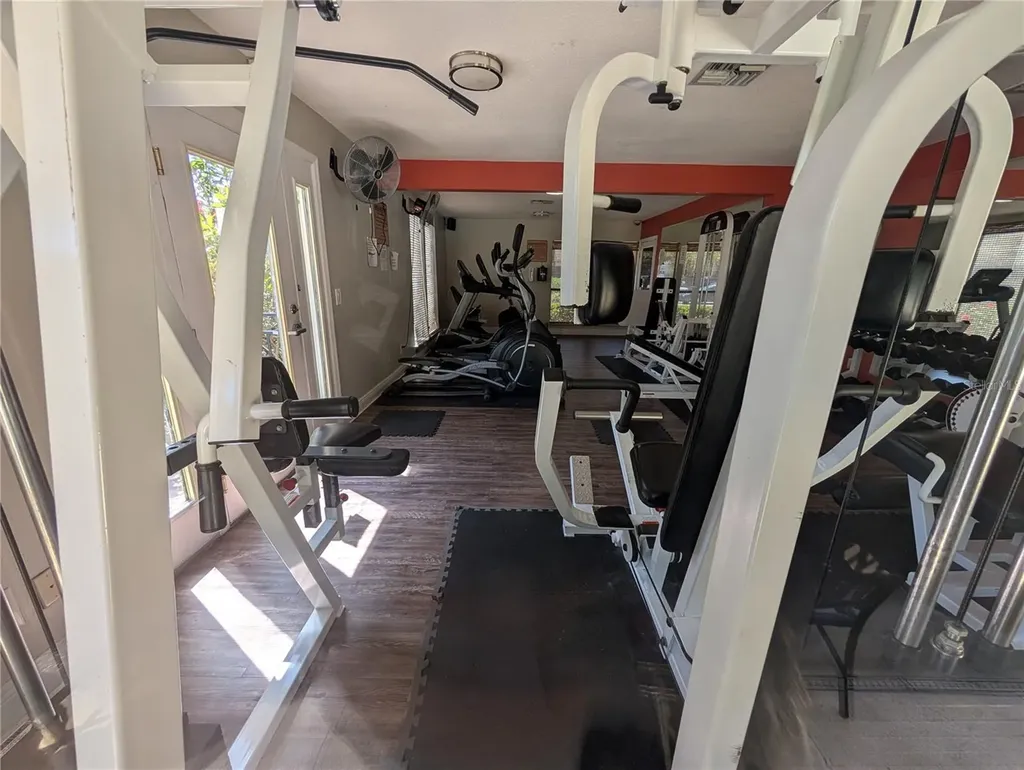 13401 Arbor Pointe Circle Tampa FL 33617