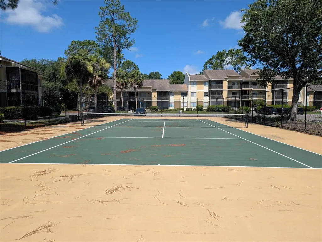 13401 Arbor Pointe Circle Tampa FL 33617