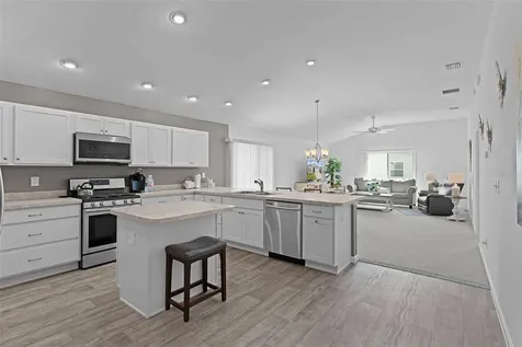 5415 Zajac Avenue The Villages FL 32163