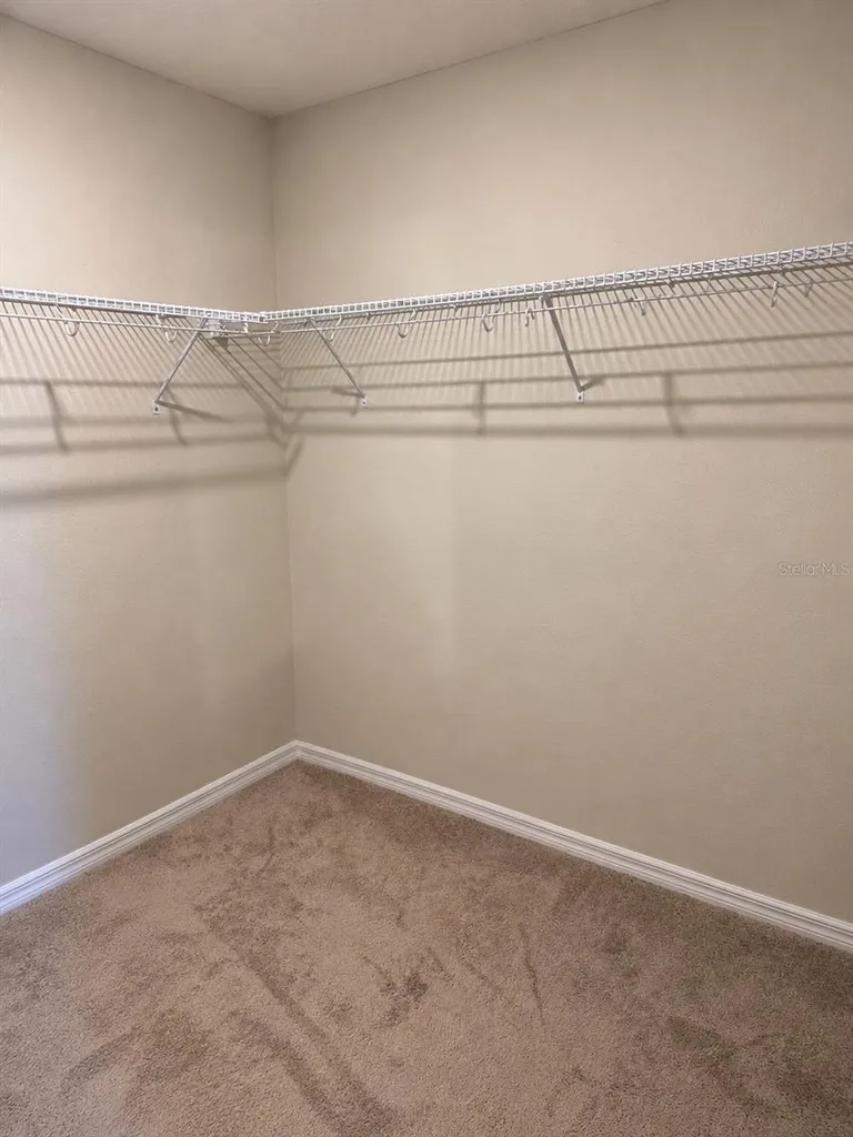 11212 Cay Spruce Way San Antonio FL 33576