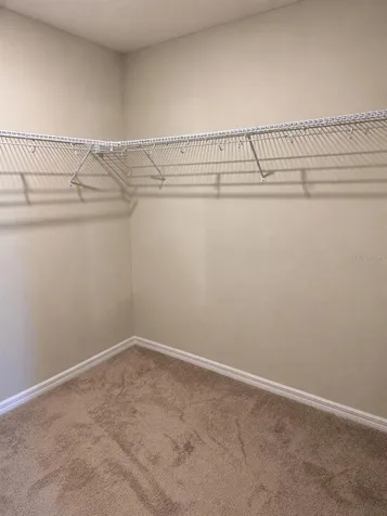 11212 Cay Spruce Way San Antonio FL 33576