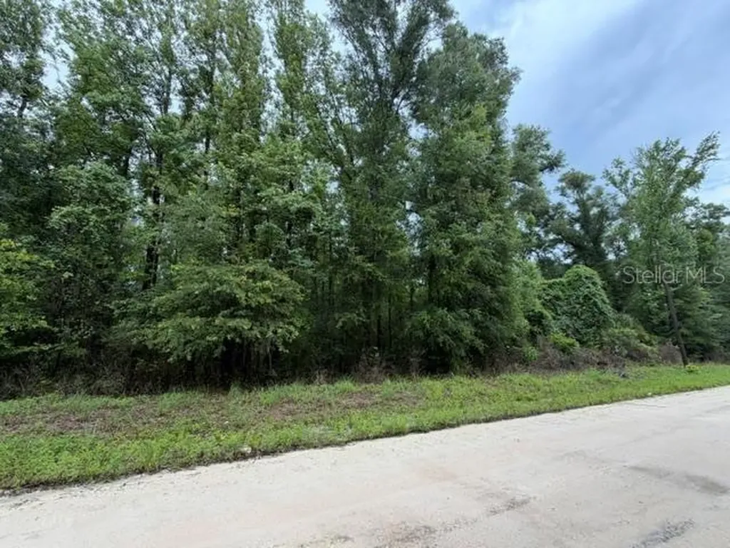 NE 312th Avenue Old Town FL 32680
