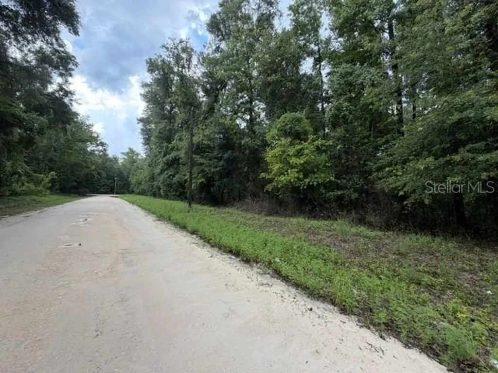 NE 312th Avenue Old Town FL 32680
