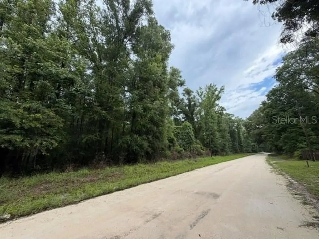 NE 312th Avenue Old Town FL 32680