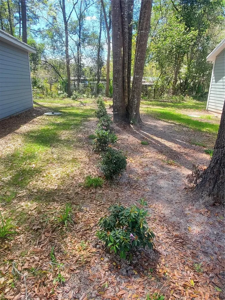 24309 NW 189th Avenue High Springs FL 32643